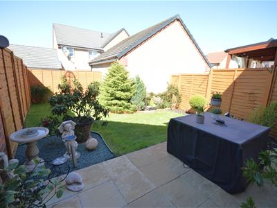 Picture 16